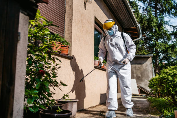 Insect Control in Coleraine, MN