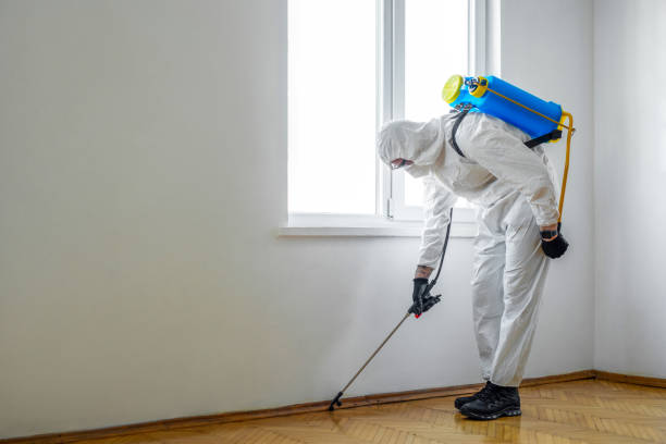 Best Residential Pest Control  in Coleraine, MN