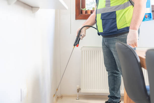 Best Flea Control Services  in Coleraine, MN