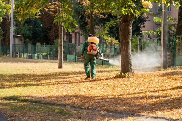 Professional Pest Control in Coleraine, MN